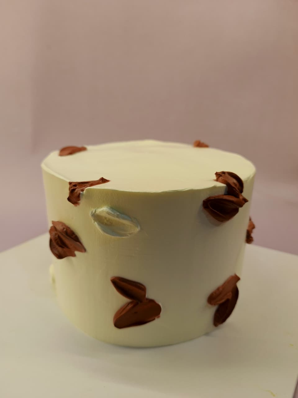 Minimalist bento cake